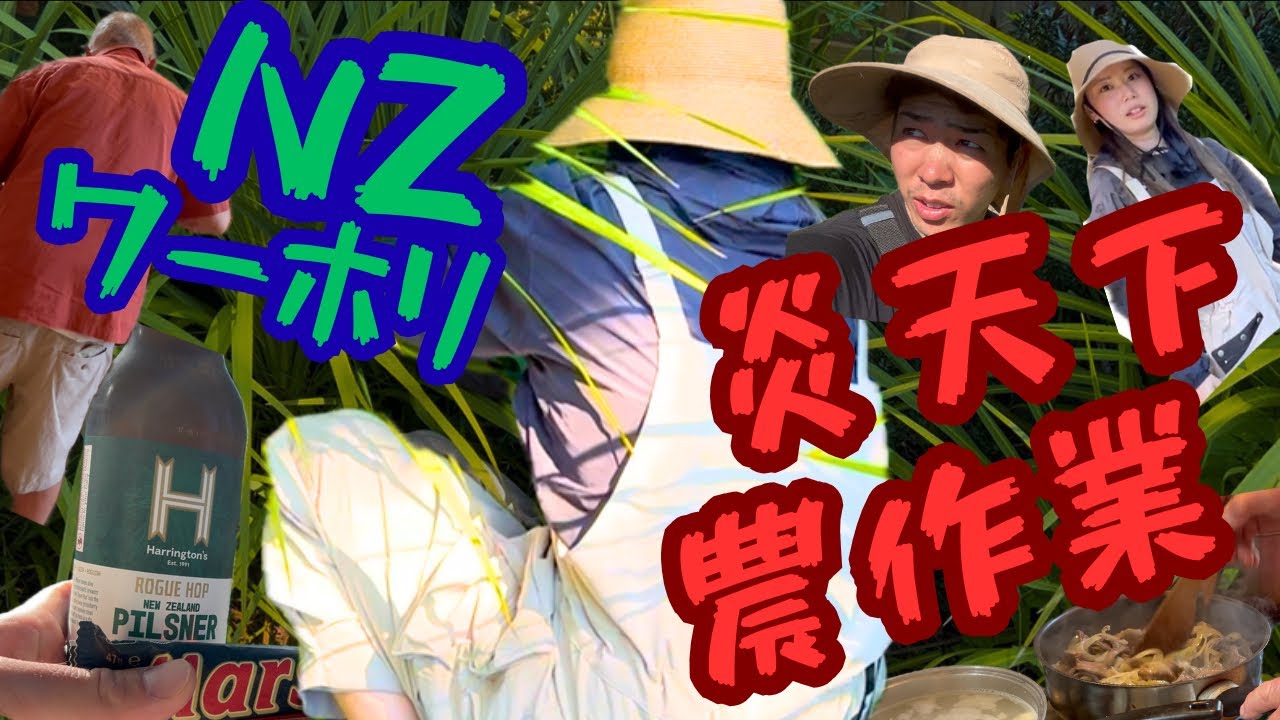 NZワーホリのリアル。炎天下で雑草抜きの日曜日。　NZ Working Holiday Reality: Weeding Under the Burning Sun