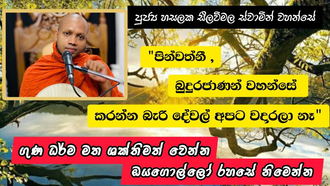 මාලුංක්‍යපුත්ත සුත්‍රය හා සළායතන නිරෝධය |#864බණවර |#revhasalakaseelawimalathero |2026.01.29