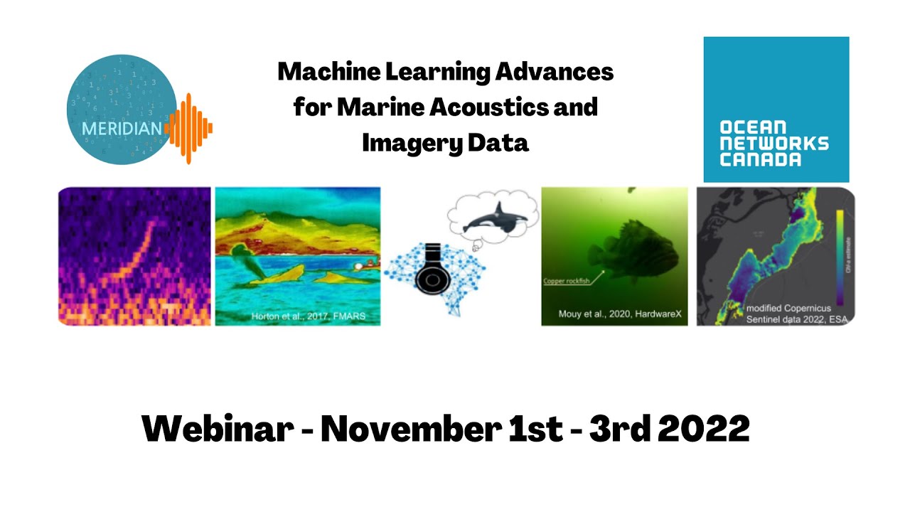 Dr. Oliver Kirsebom (OOR) - Uncrewed Surface Vehicles As a Platform For Marine Mammal Monitoring