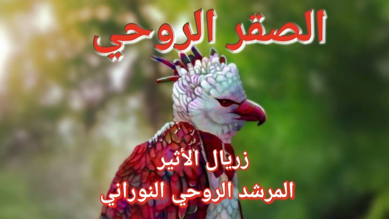 🦅🌟الصقر الروحي🦅🌟القطع مع ديناميكية المطاردة والتعلق والإتصال بوعي الجذب الإيجابي+⚡رفع التسلط الروحي⚡