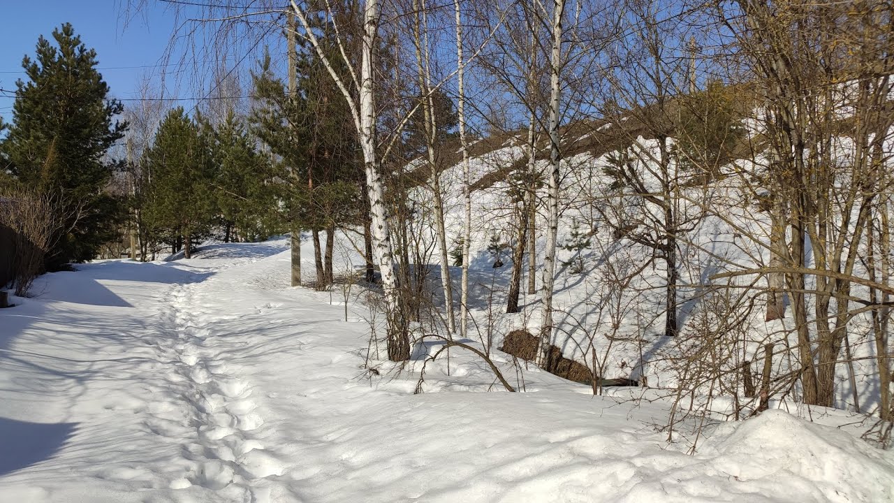 15'03'2026 г. За городом очень много снега. Снегу по колено. #московскаяоблась #обзордачи #дача