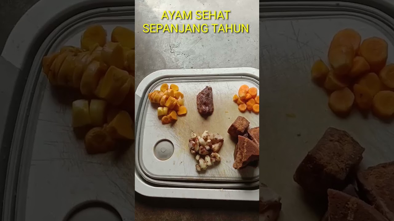 JAMU UNTUK AYAM - SEHAT SEPANJANG TAHUN - BAGIAN 1 ( PERTAMA )