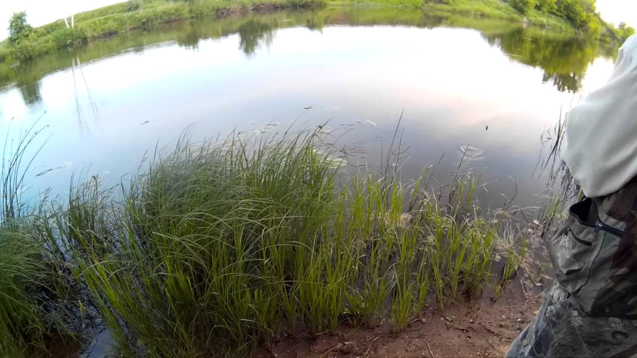 MXC-67MH + Abu Garcia Revo3 PRM REVO PREMIER + Sunline  Cast Away PE 150м 1.5