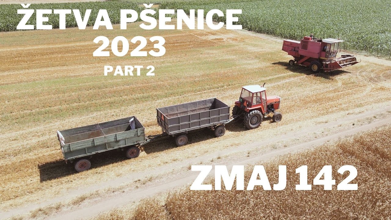 Žetva pšenice 2023 / Wheat harvest 2023 Combines part 2/2