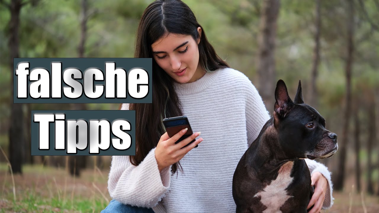 Auf diese Tipps solltest du im Hundetraining NICHT h&ouml;ren!