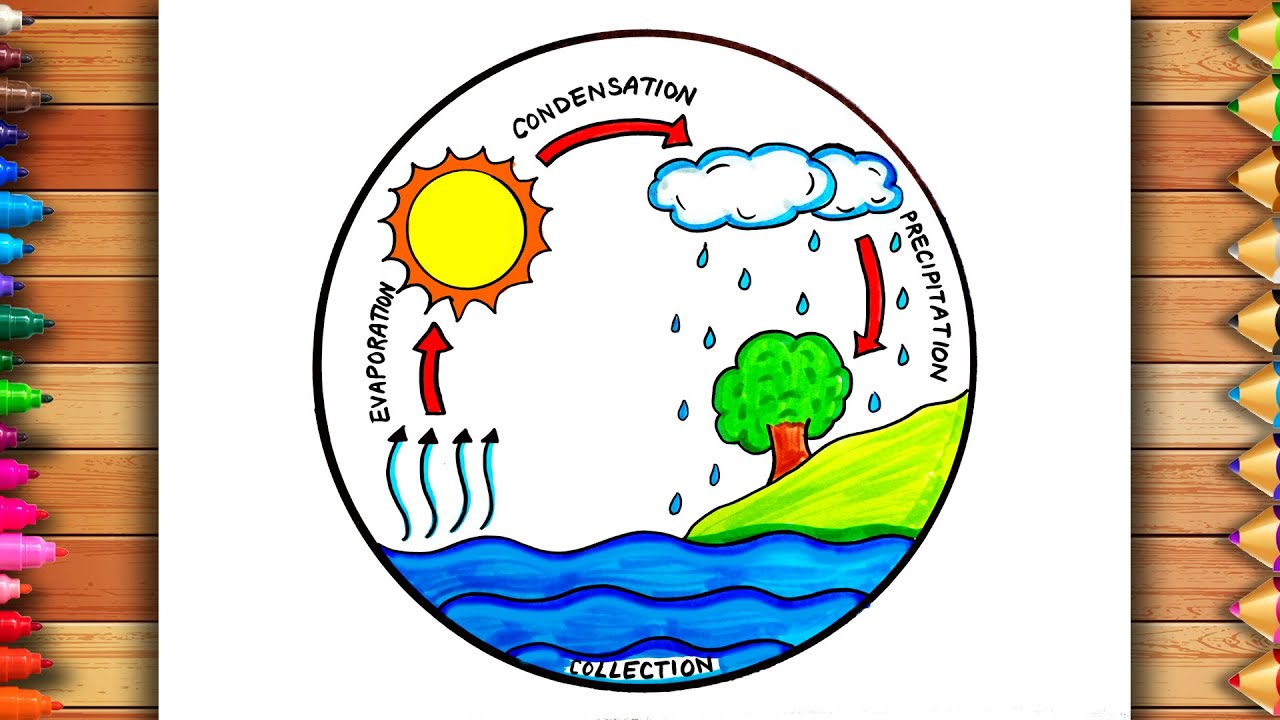 Easy Water Cycle Drawing | Water Cycle Diagram | Water Cycle Drawing | Water Cycle Circle Drawing