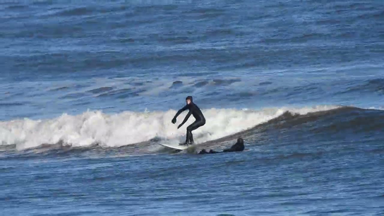 14 02 26 N E (South of South C) Part 1 of 2 - incoming tide