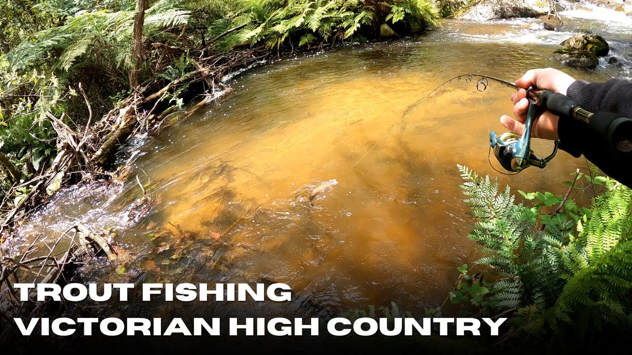 Trout Fishing and hiking in the Victorian High Country | Fishing and Nature ASMR