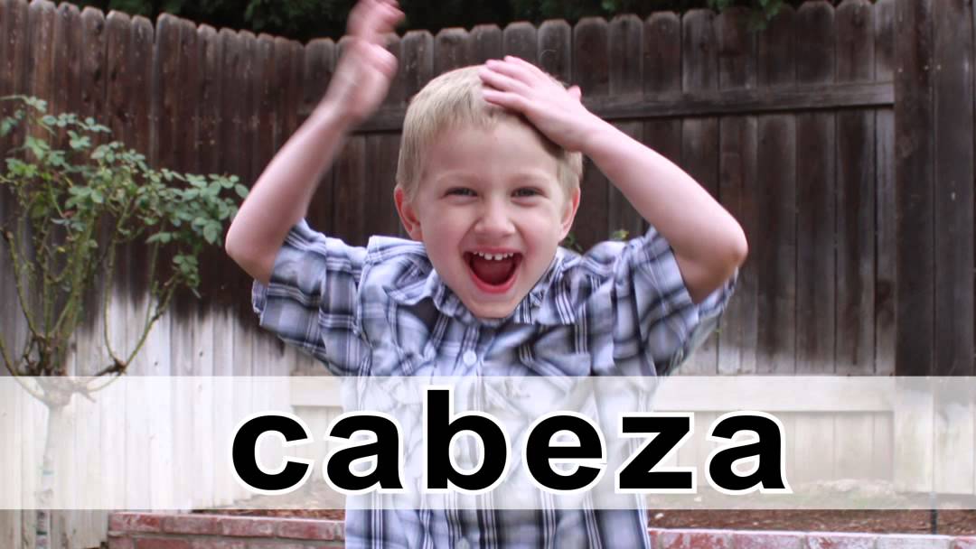 🎶 Cabeza, Cara, Hombros, Pies 👃👂👄 A Song in Spanish for learning the parts of the body