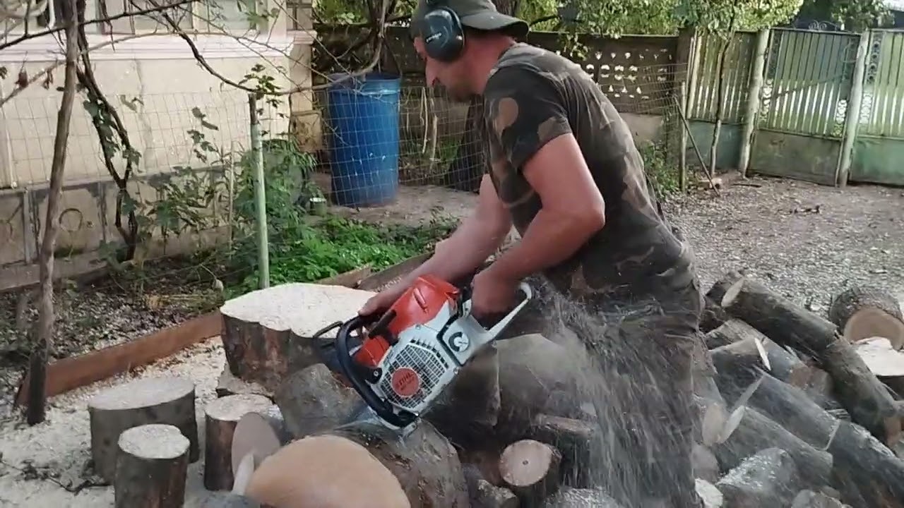Câteva tăieri cu Makita 6401 și Stihl Ms 462