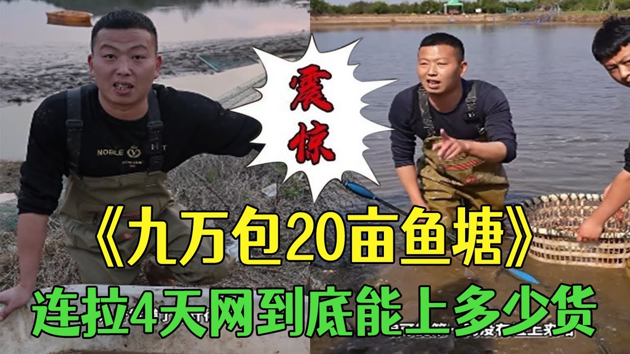 花9萬包下20畝的大魚塘，連拉4天網到底能上多少貨 #小飛哥#三農 #抓魚 #護外 #我要上熱門 #新農人計劃2026#包塘