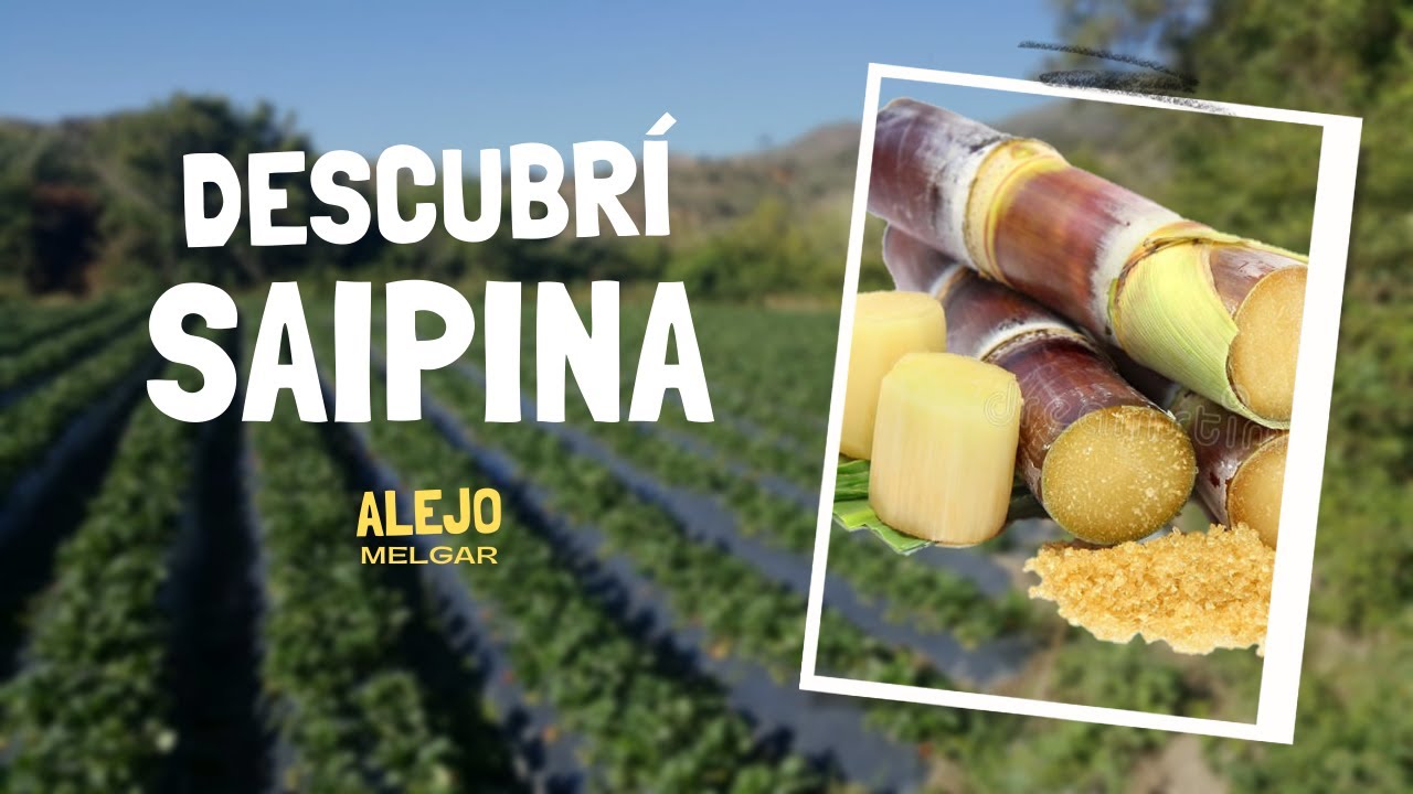 SAIPINA - Santa Cruz, Bolivia