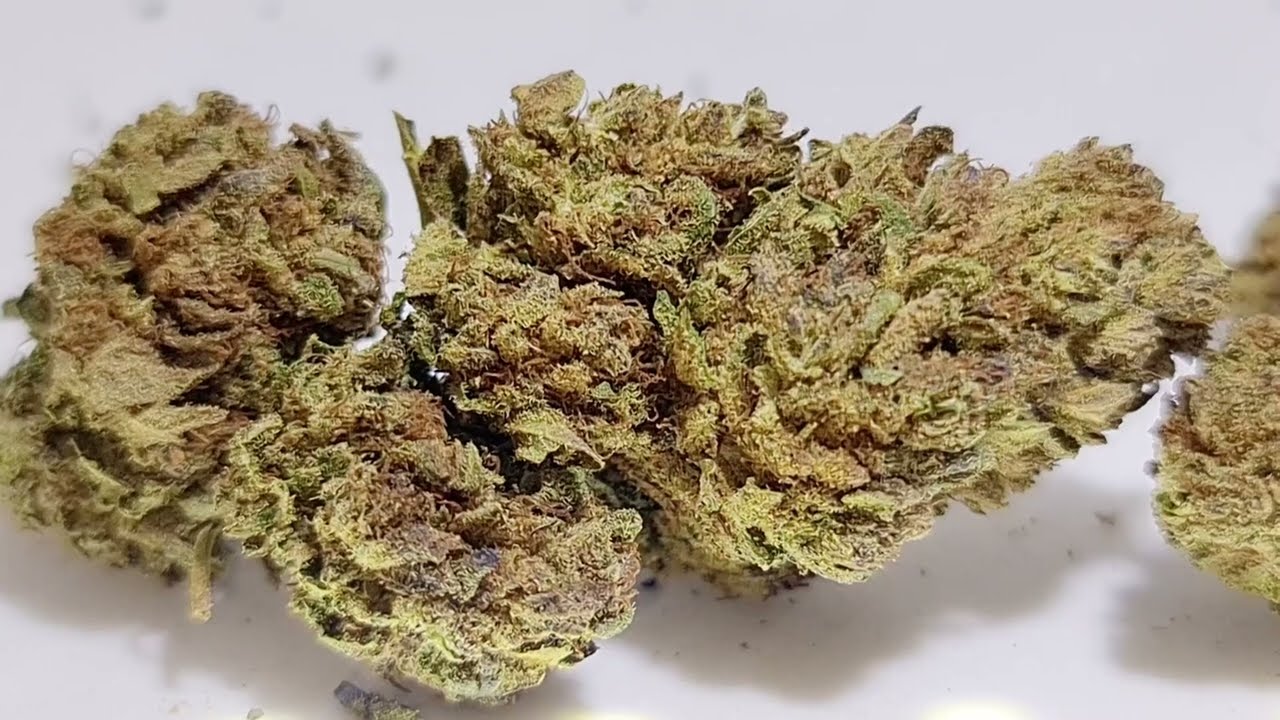 Super Lemon Haze Indoor Europa - vaporspirit.ch