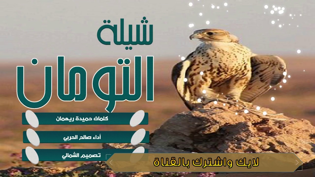 شيلة التومان  _ كلمات حميدة الرهيمان _ اداء صالح الحربي