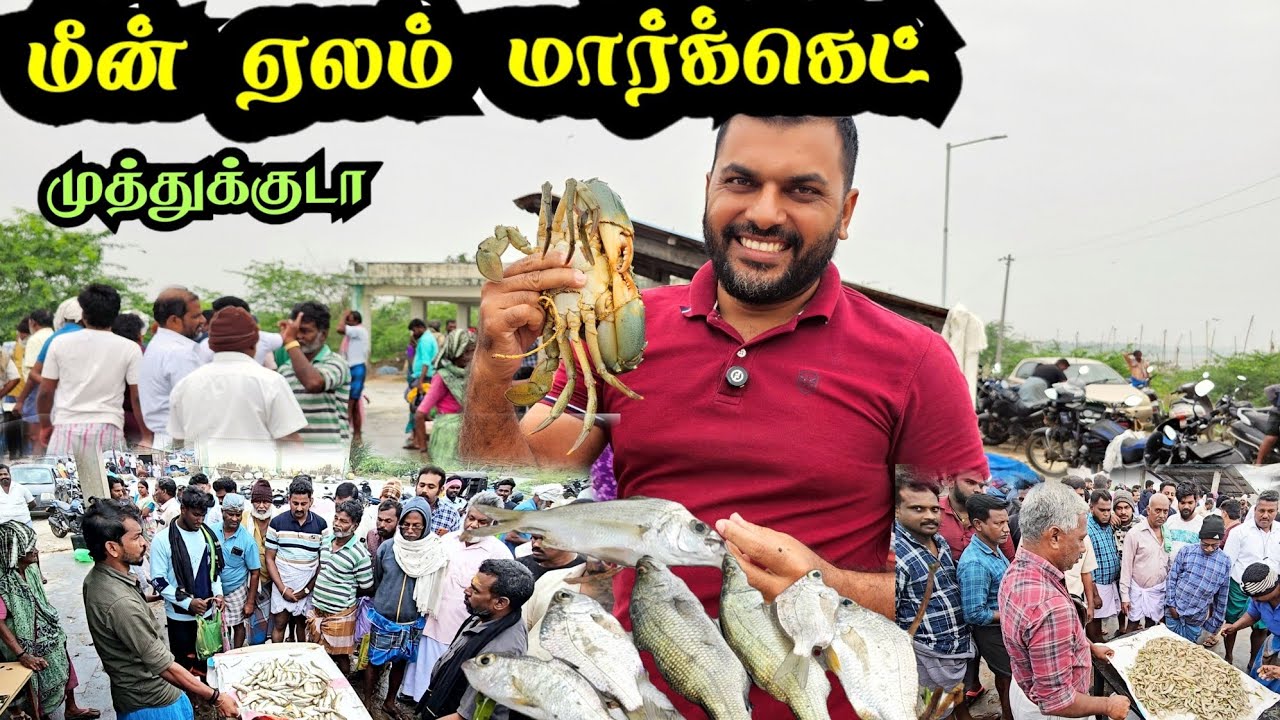  துடிக்க துடிக்க உயிர் மீன்கள் ||முத்துக்குடா மீன் ஏல சந்தை 