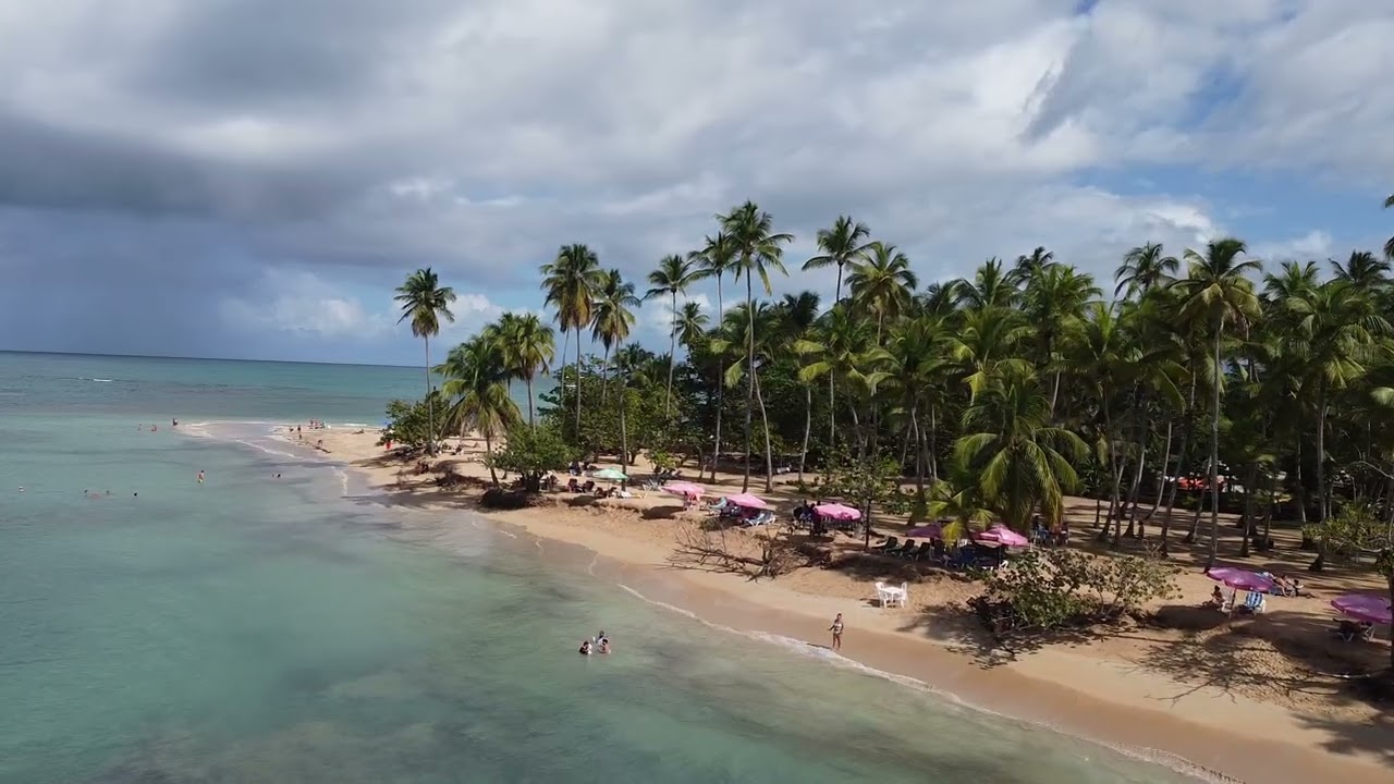 Las Terrenas  - 11/01/2026