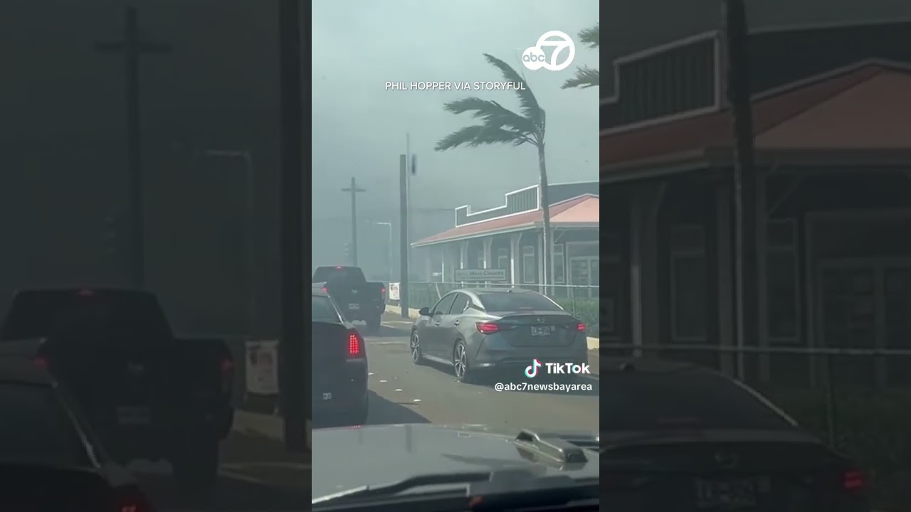 Maui wildfires turn family vacation 'apocalyptic'