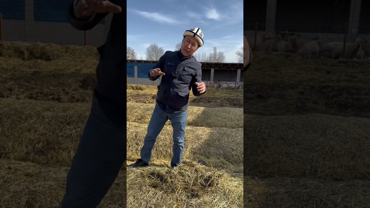 Улукбек агабыздын чарбасын көрдүк. Тел: 0772873636, 0501122307.