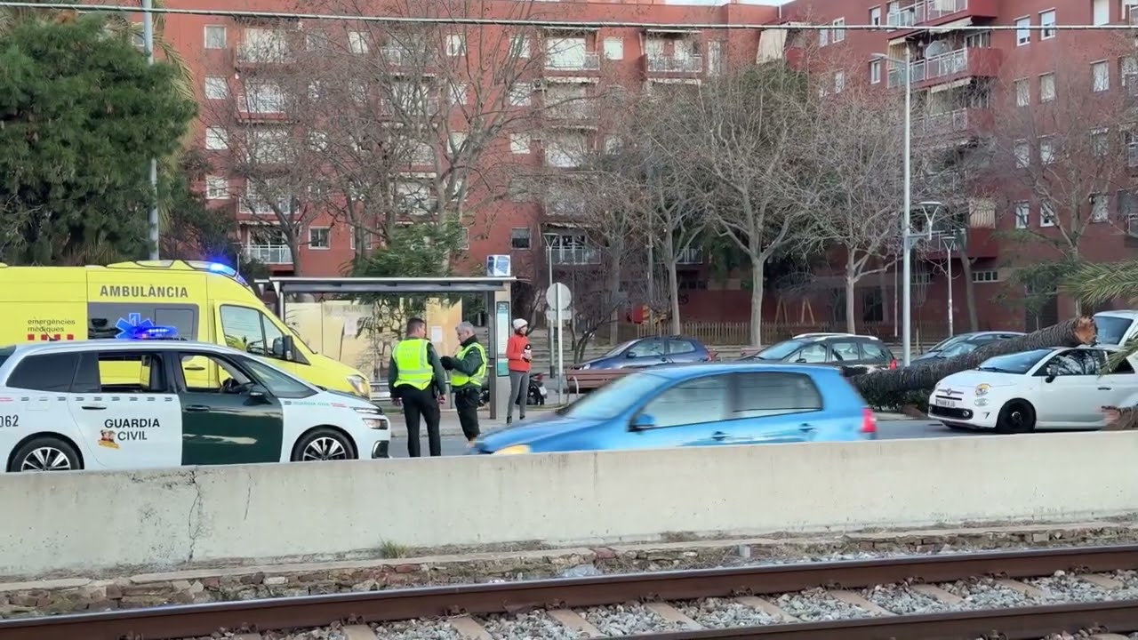 Al menos 6 heridos por el fuerte viento en Catalunya, uno de ellos grave por la caída de un árbol