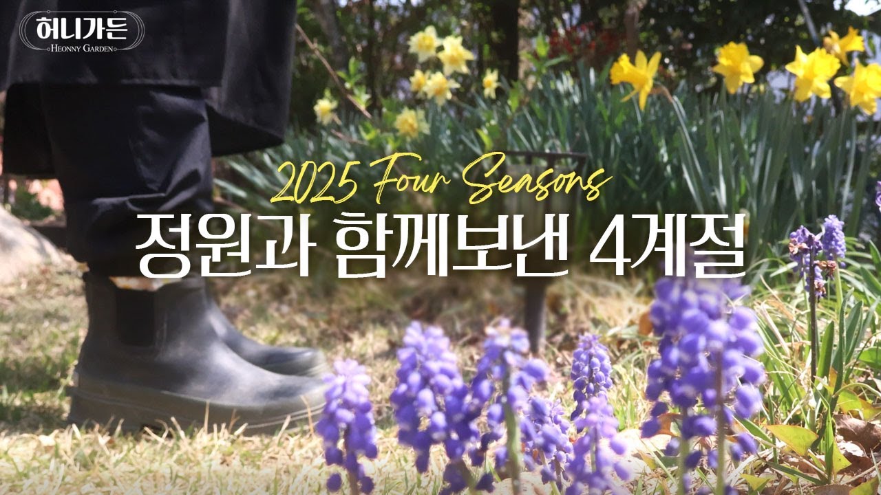 정원과 함께한 365일 | 1년동안의 정원만들기 | 내가 심은 꽃들 모아보기