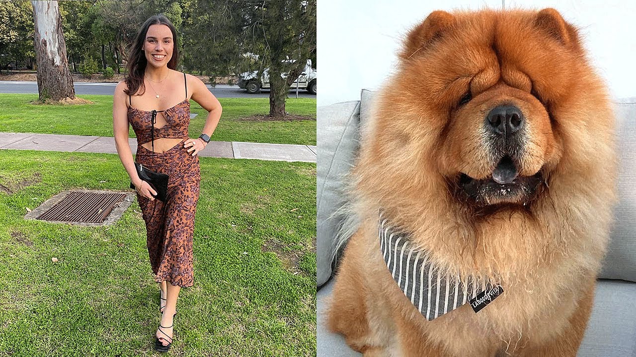 Spring Date Night and Bowser's Birthday! 🌼