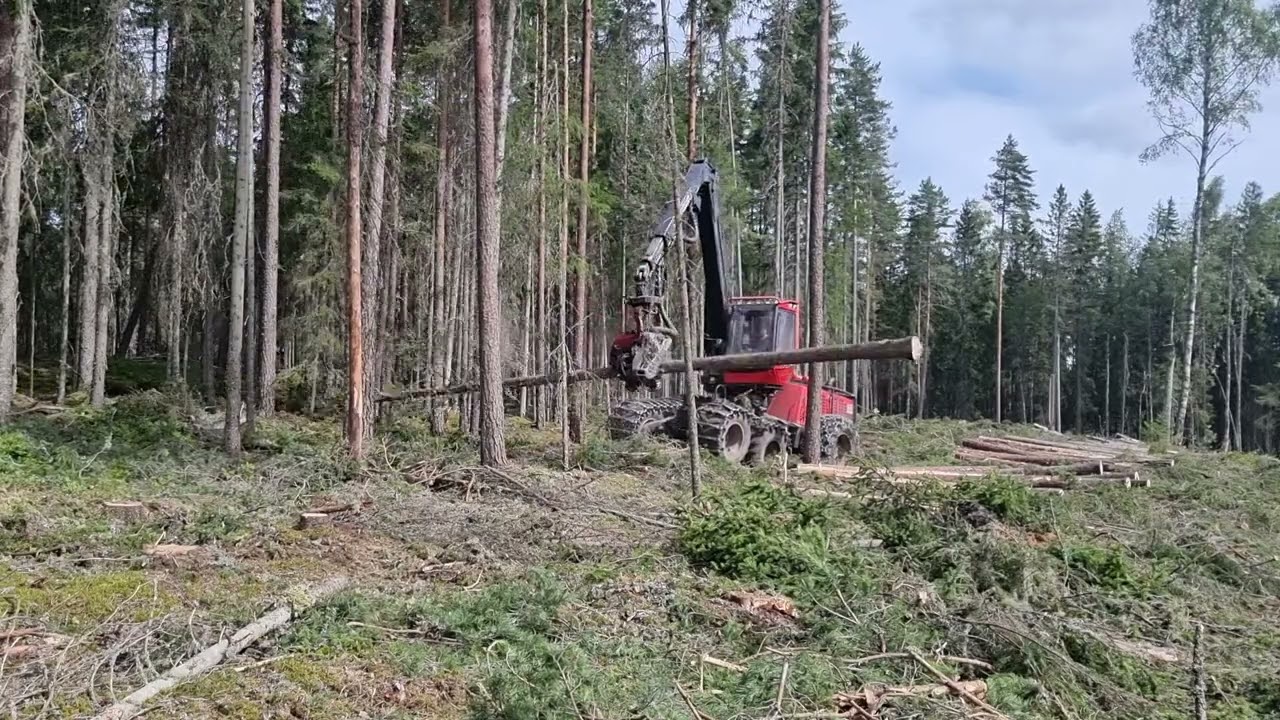 Komatsu 931.1 c93 clearfelling