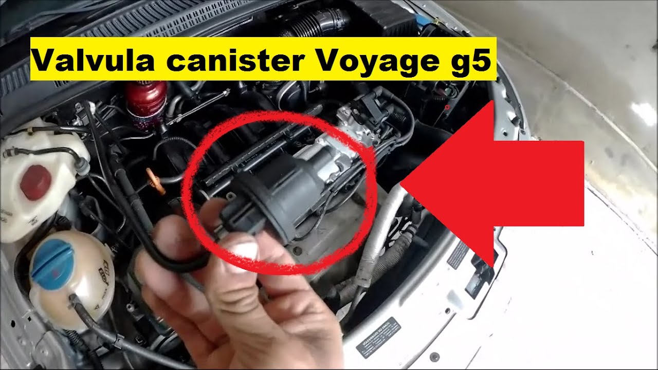 válvula canister Voyage g5 cuidados e manutenção