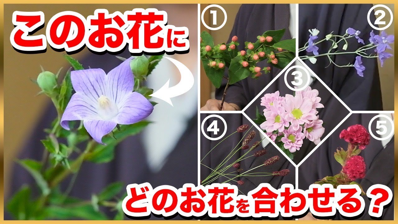【問題】〇〇の生け花に合わせるならどのお花？