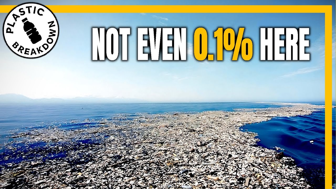 So It’s All in the Pacific Garbage Patch... Right?
