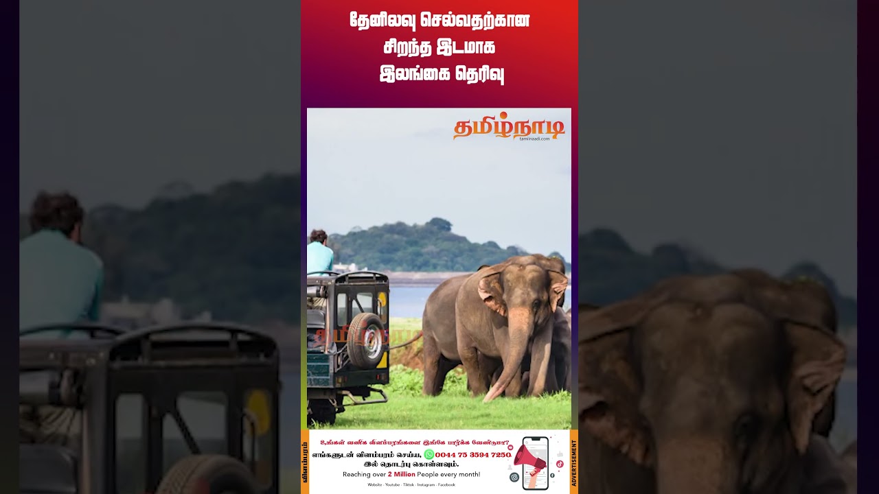 தேனிலவு செல்வதற்கான சிறந்த இடமாக இலங்கை தெரிவு 
