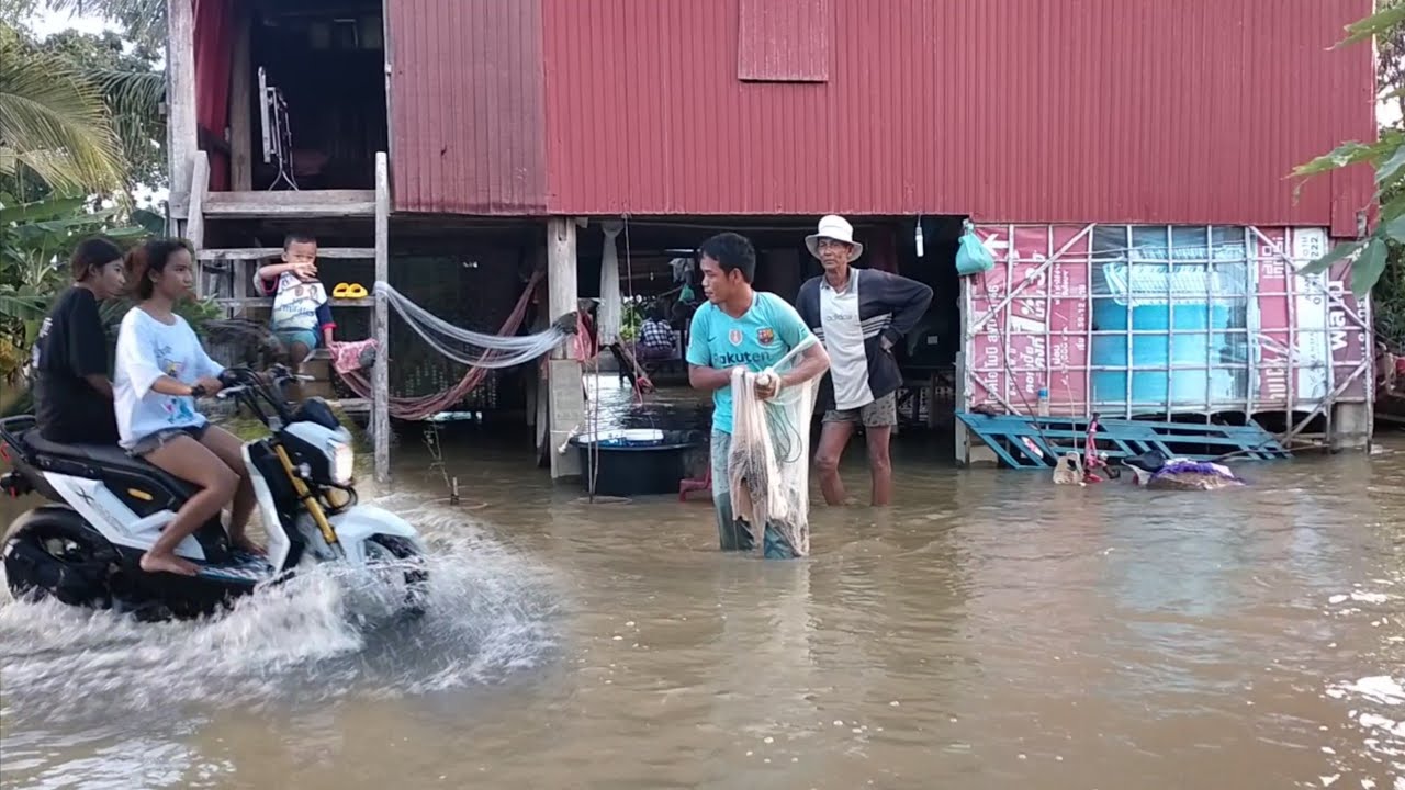 Find fish in front of the house when the water rises 😃😃😃