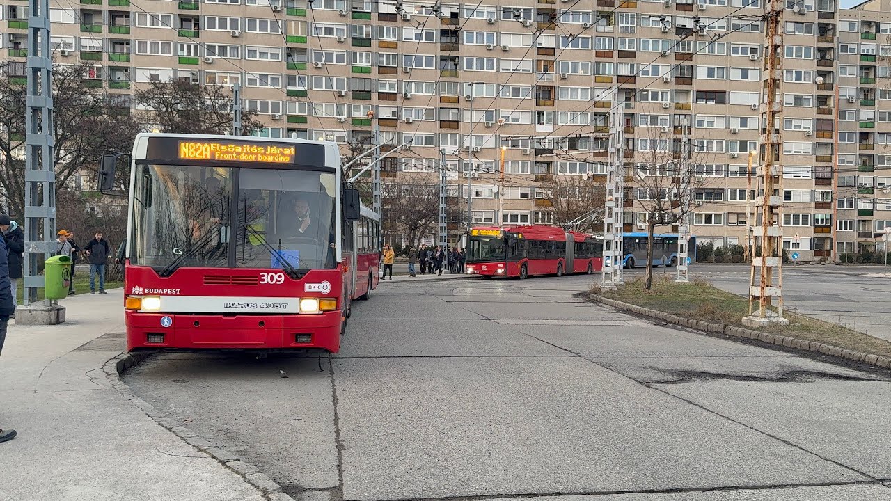 82A troli utolsó utáni napja egy Ikarus 435T nosztalgia járművel