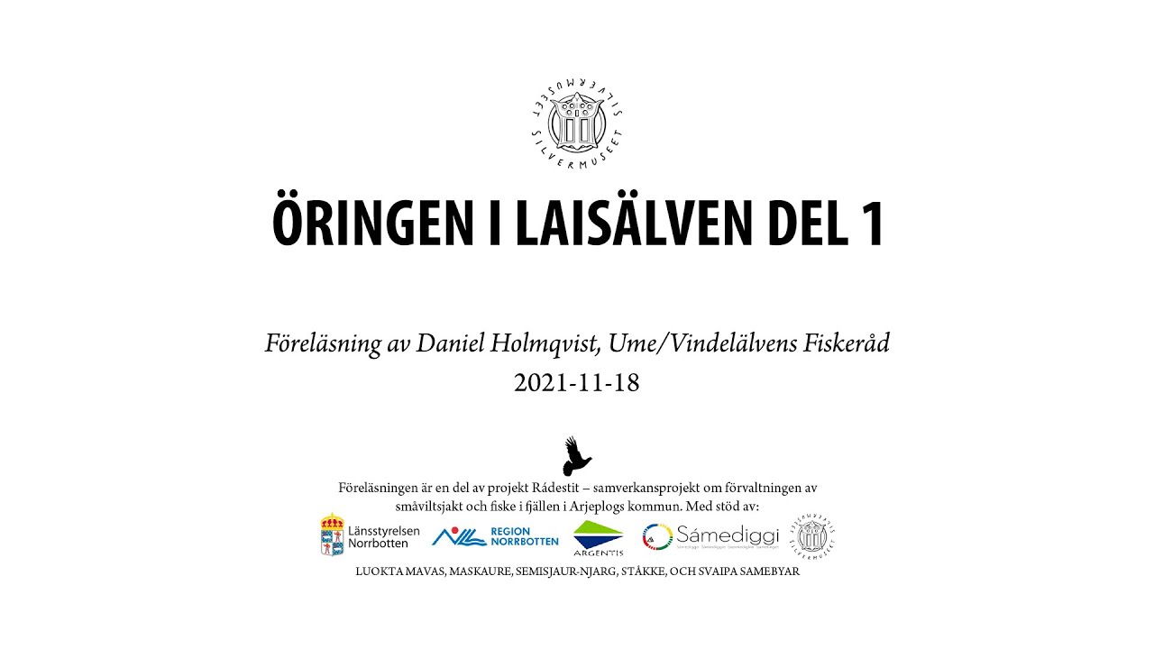 Daniel Holmqvist Ume/Vindelälvens ­Fiskeråd - Öringen i Laisälven Del 1