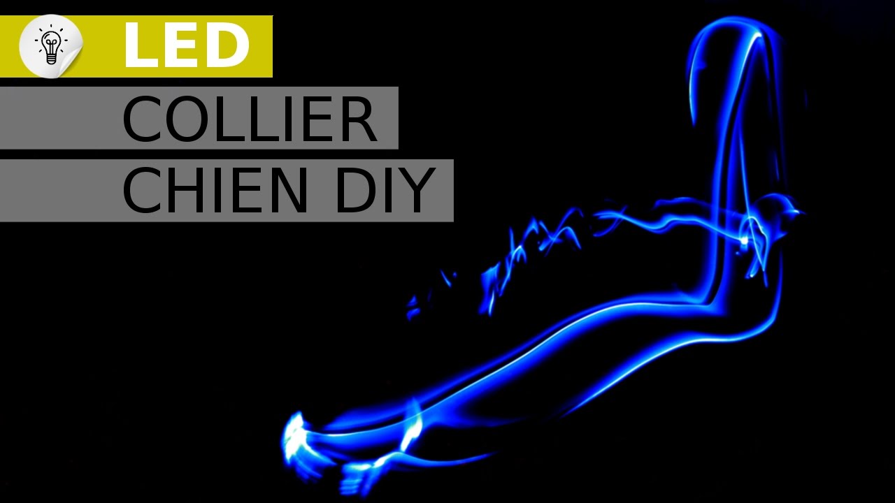 Collier lumineux - Collier chien Led - LED Dog Collar - DIY