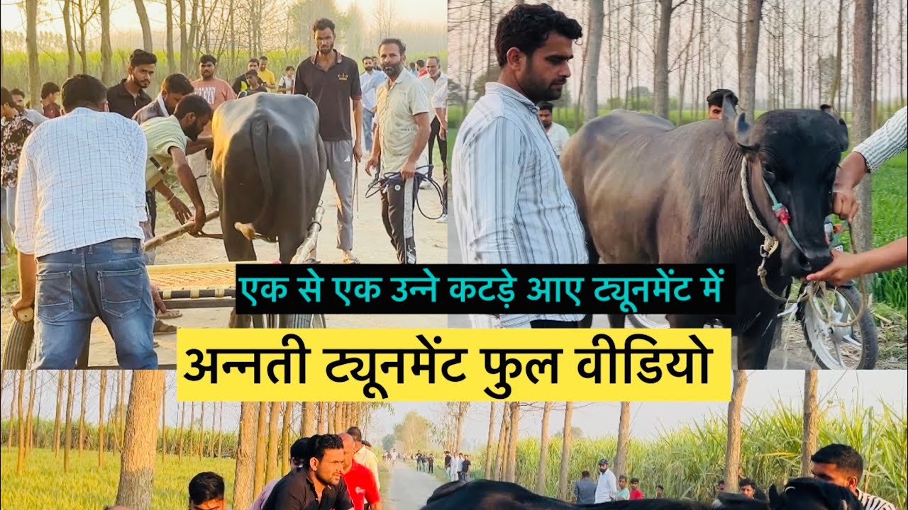 🥇गौरव मेगा खेडी 🥈 भूरा गंगा नगर 🥉 बादल मोरना 1 नम्बर का टूनामेंट हुआ 