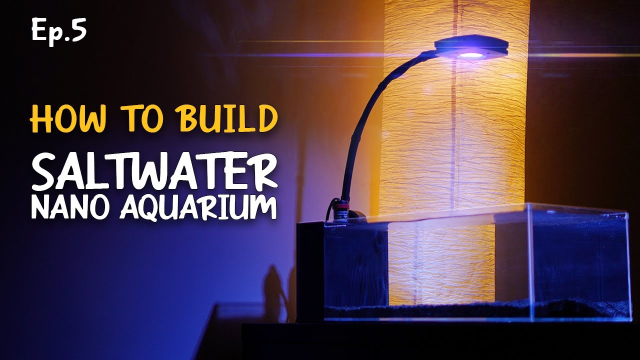 How to make a Saltwater Aquarium | Ep.5 Nano Reef Competition