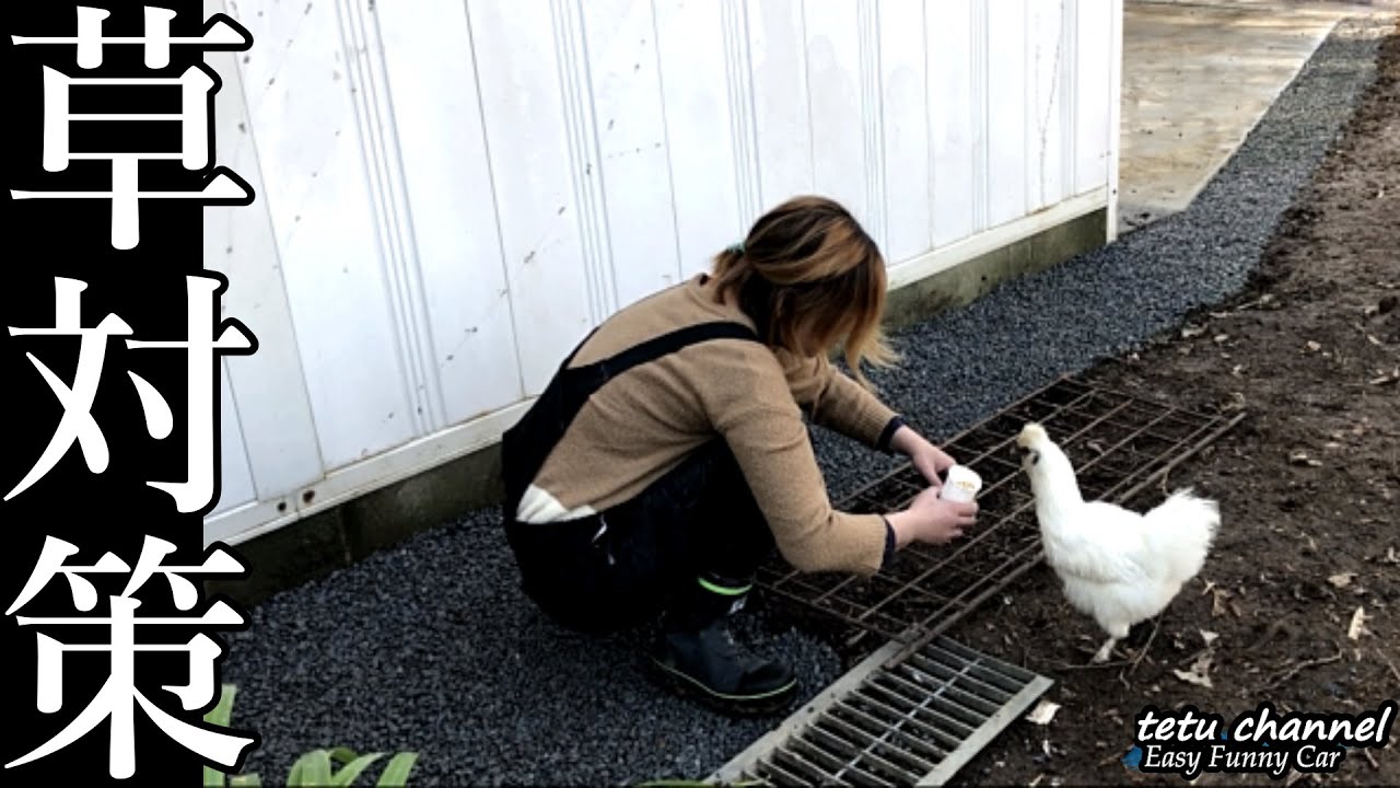 雑草対策 簡単DIY！砕石(バラス)と防草シート費用は？訳ありキャンプ場は150万円