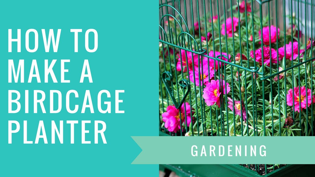 How To Make Birdcage Planter