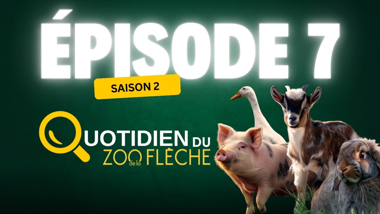 Une nouvelle tant attendue : le grand retour de la mini ferme ! 🐖🐰
