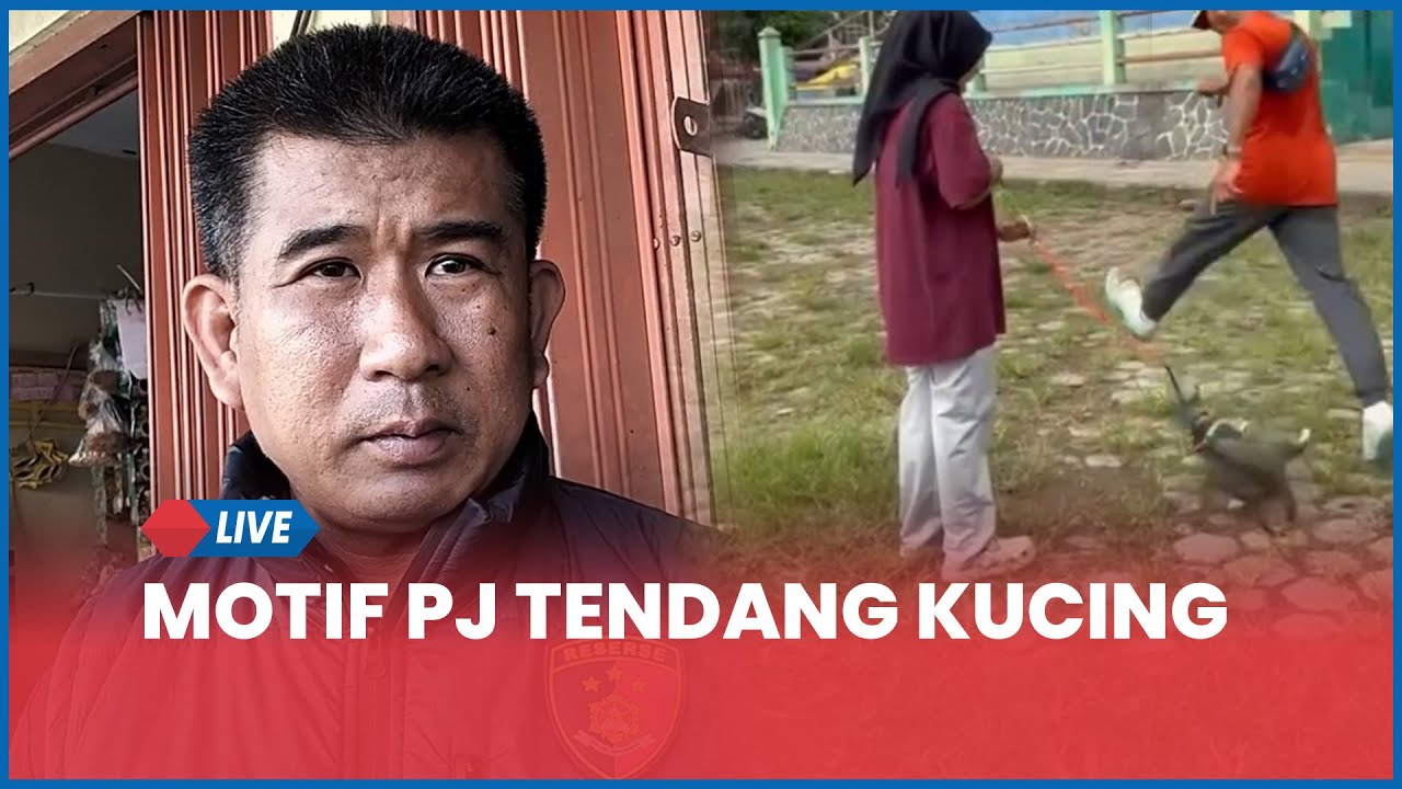 🔵Motif Pria Tendang Kucing di Blora, Mengaku Kesal Terganggu Saat Jogging