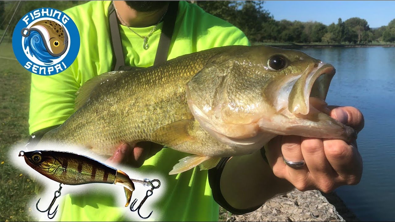 BIG BASS!! così è uno spettacolo!