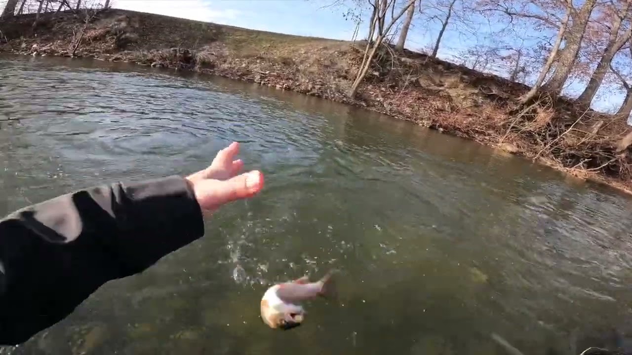 Euro Rod Combo Review- Redington Field Kit