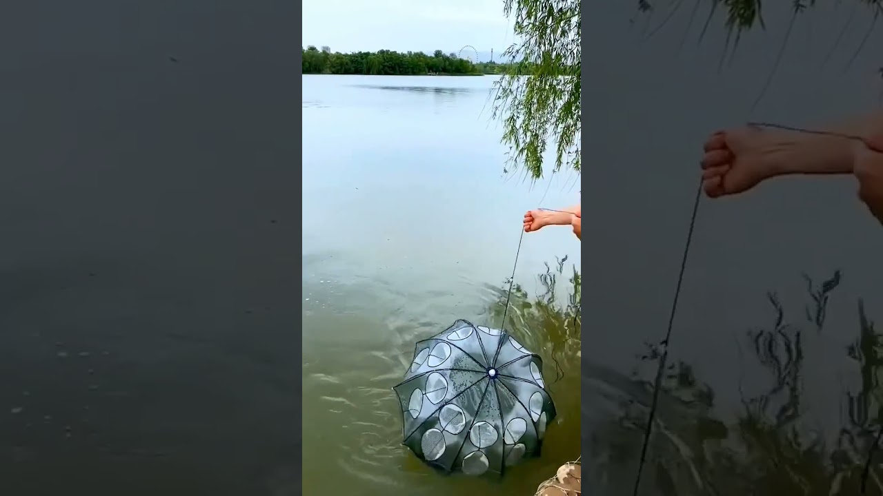 Foldable crab umbrella trap net best fishing gear and tools #fishing #fishinggear #fishingaccessorie