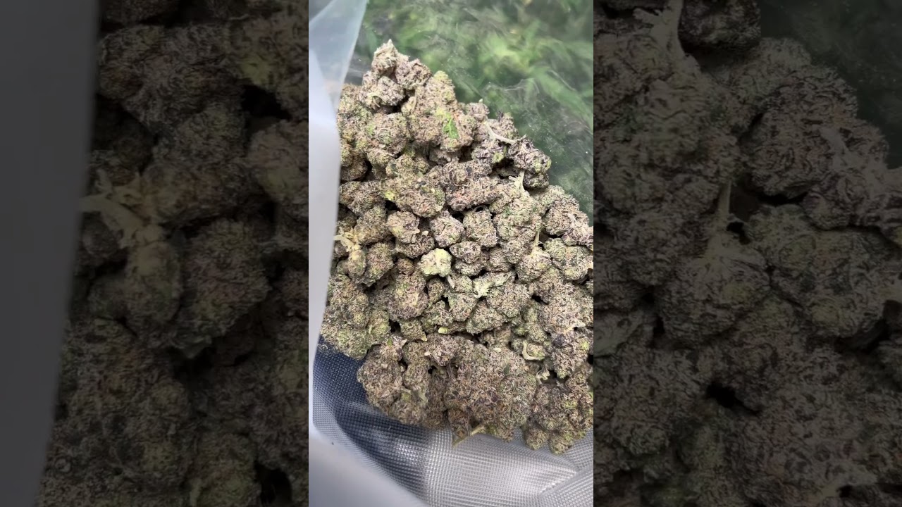 The gas ⛽️ #hiphop #music #rap #420