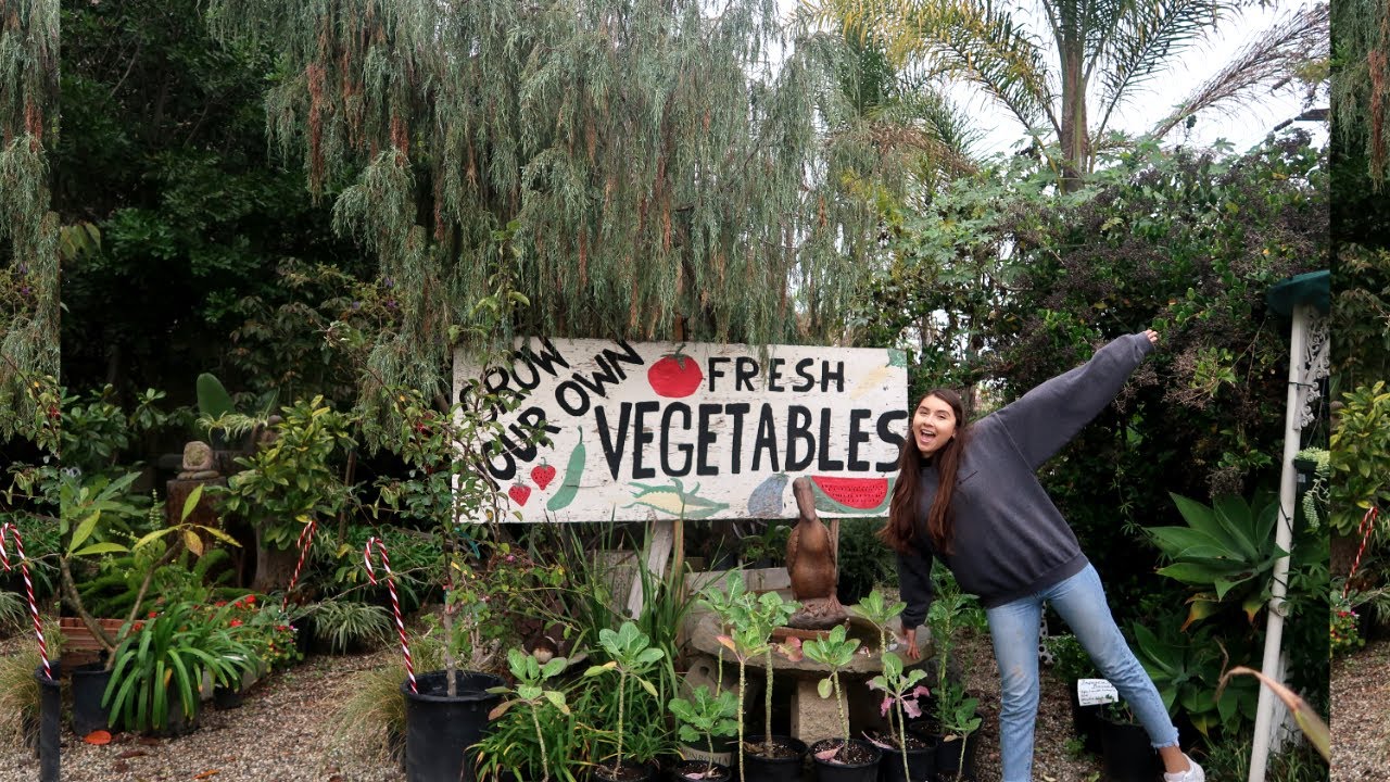 I Spent Another Whole Day Plant Shopping...| Houseplant City Tour