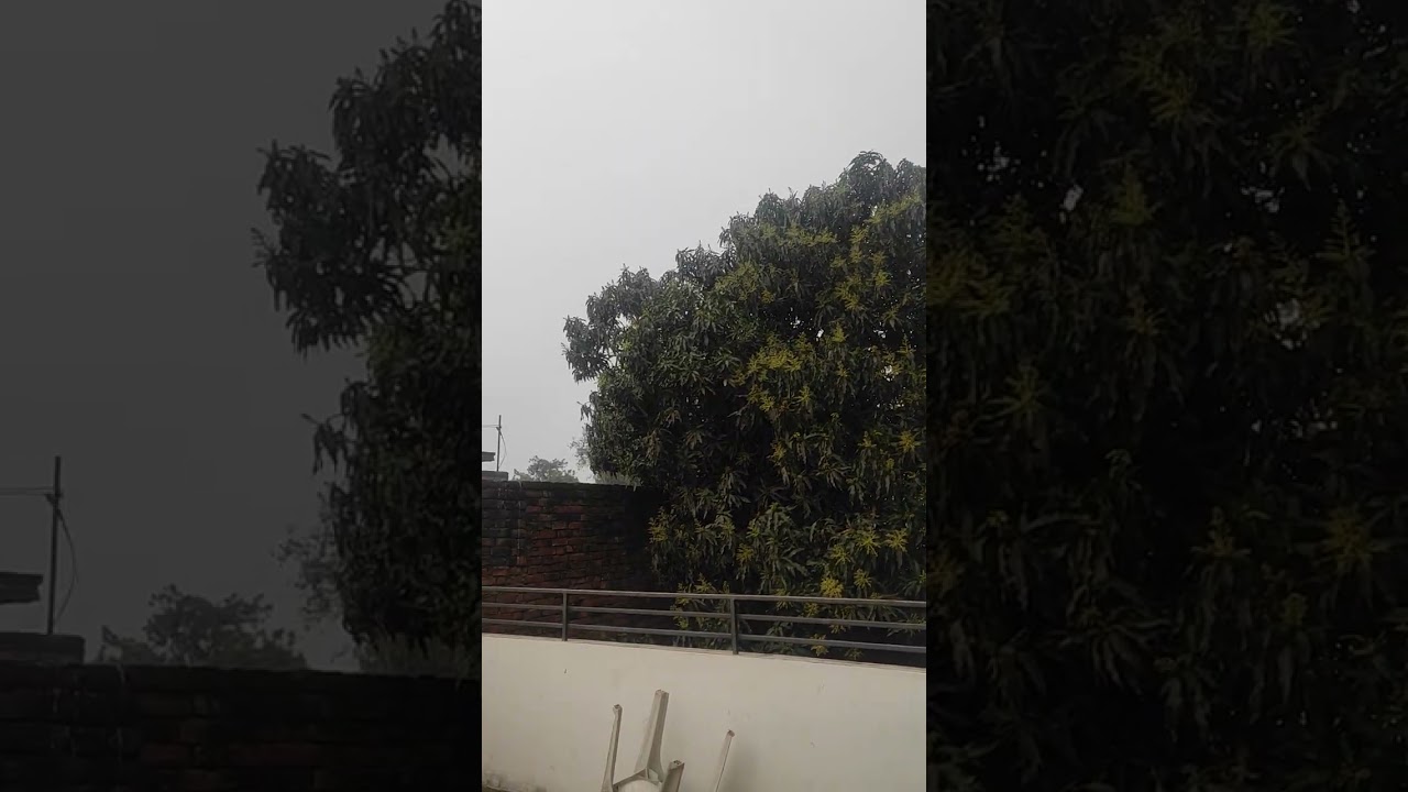 First Rain of 2026...in Feb.. #garden #flowergarden #sky #rain #rainsounds #rainyday