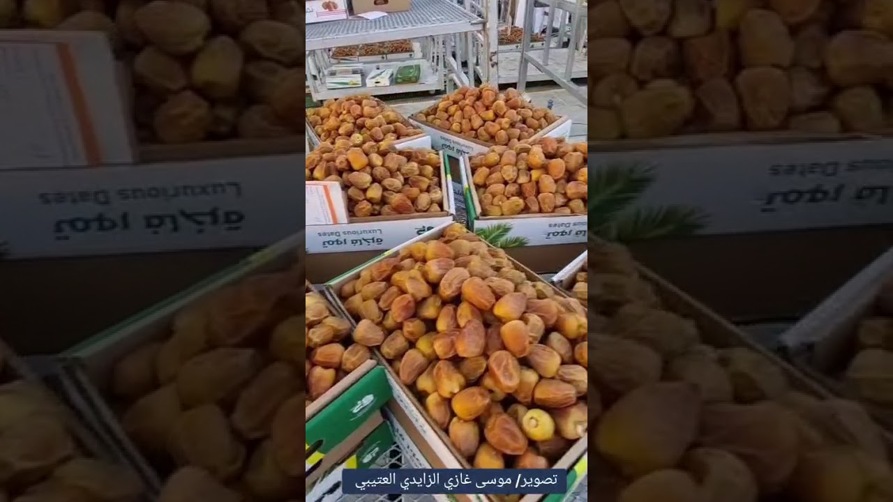 🏝تمور عنيزه ١٤٤٧هجريه 🏝