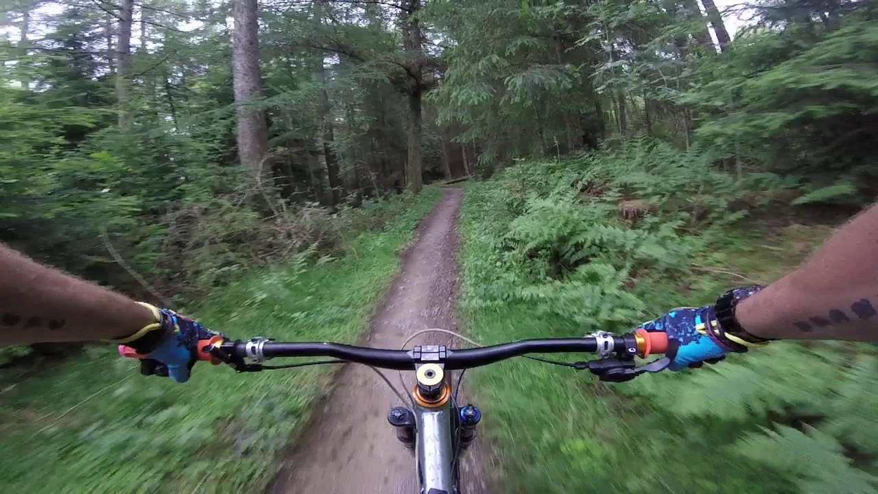 NORTHEAST FREERIDERS