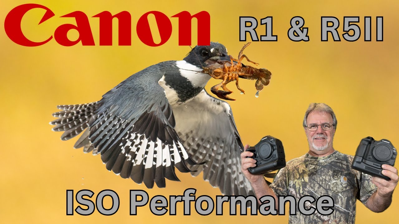 Canon R1 and Canon R5 Mk. II ISO Noise Performance Comparison