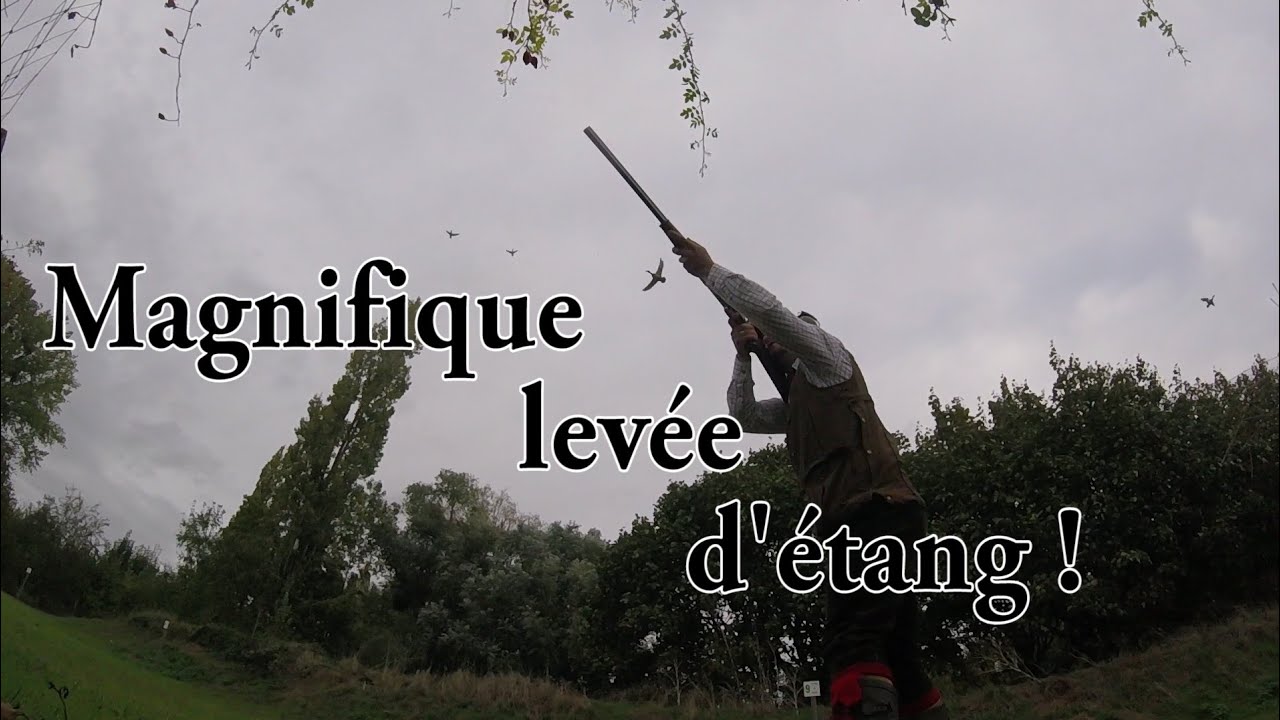 Magnifique levée d'étang ! beaucoup d'action
